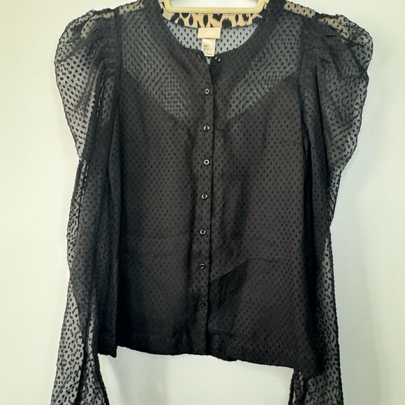 H&M Lace Polka Dot Sheer Top – Size 4, Puffed Sleeves - Picture 1 of 16